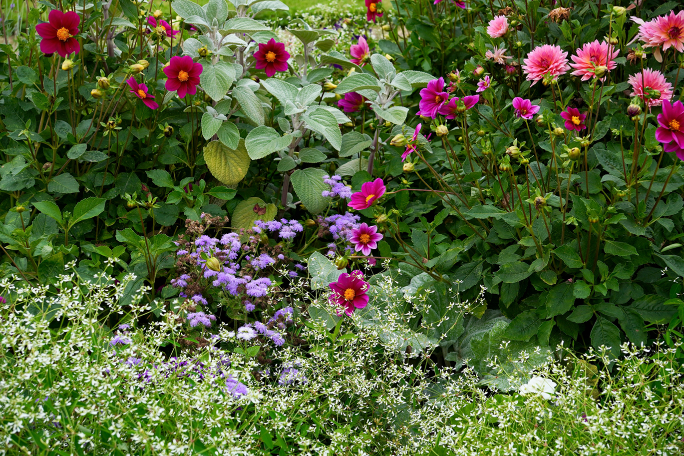 Jak urządzić ogród swoich marzeń?
