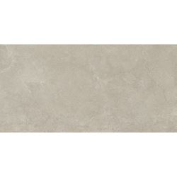Vijo Litoso Light Grey Gres Rekt Mat