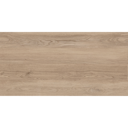 Tubądzin Patio Wood KoraTER