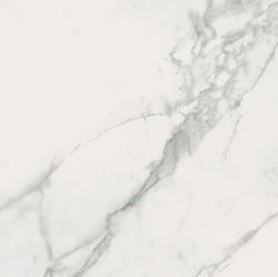 Opoczno Calacatta Marble White Polished Matt OP934-008-1