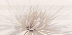 Opoczno Avangarde White Inserto Flower OD352-001