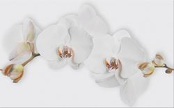 Cersanit Marisol White Inserto Flower WD956-008
