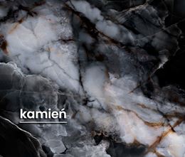 KATEGORIE-PŁYTKI-KAMIEŃ-CERRAD-CALMNESS.JPG