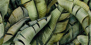 Paradyż Uniwersalne Inserto Szklane Leaf B