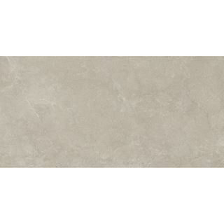 Vijo Litoso Light Grey Gres Rekt Mat