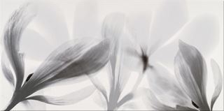 Opoczno Colorado Nights Inserto Flower OD673-016