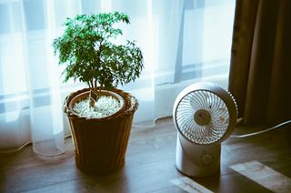 Jak ochłodzić mieszkanie bez klimatyzacji?