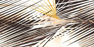 Cerrad Calacatta Gold Decor B Mat