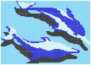 Dunin Q Design/Lines Q Dolphins