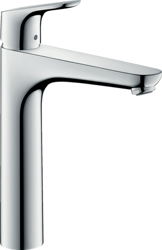 Hansgrohe Focus 31518000