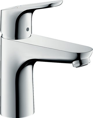 Hansgrohe Focus 31621000