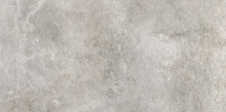 Paradyż Burlington Silver Płyta Tarasowa 2.0