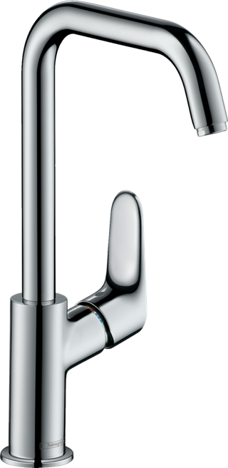 Hansgrohe Focus 31519000
