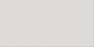 Opoczno Light Grey Glossy OP658-010-1
