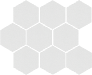 Cerrad Mozaika heksagon Cambia White Lappato 33438