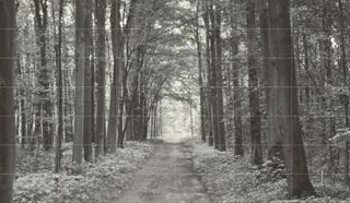 Tubądzin All in White 1