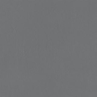 Tubądzin Industrio Graphite (RAL D2/000 4500)