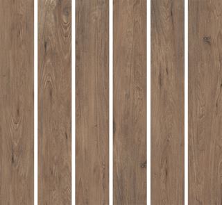 Nowa Gala Chestnut CS 05