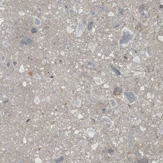 Cerrad Ceppo Nuovo Silver Poler