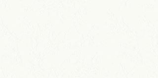 Opoczno Farisa White Inserto Satin Rect ND1219-001