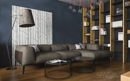 Przestronny salon z komfortową sofą