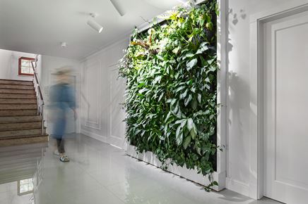 Biały przedpokój z roślinami na ścianie
