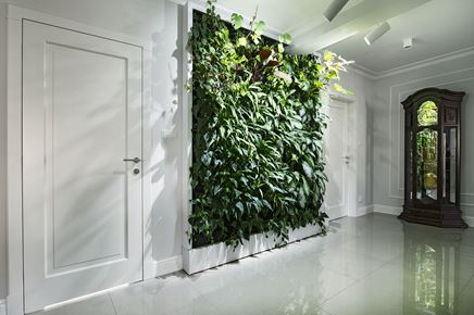 Ściana z naturalnych, zielonych roślin w aranżacji przedpokoju