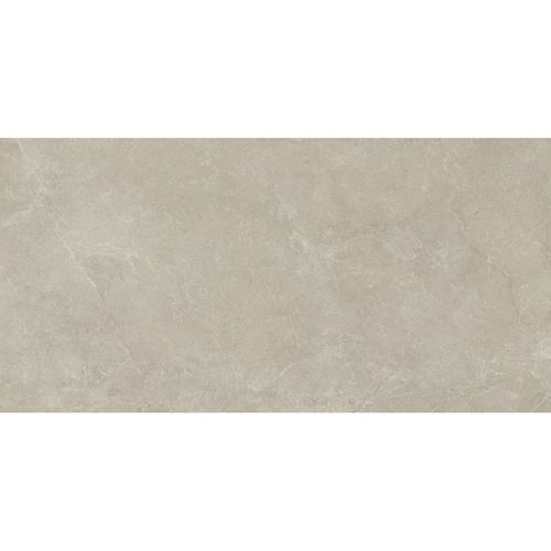 Vijo Litoso Light Grey Gres Rekt Mat