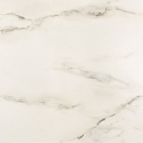 Opoczno Carrara White OP001-001-1