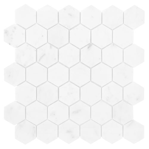 Dunin Black&White Carrara White Hexagon 48
