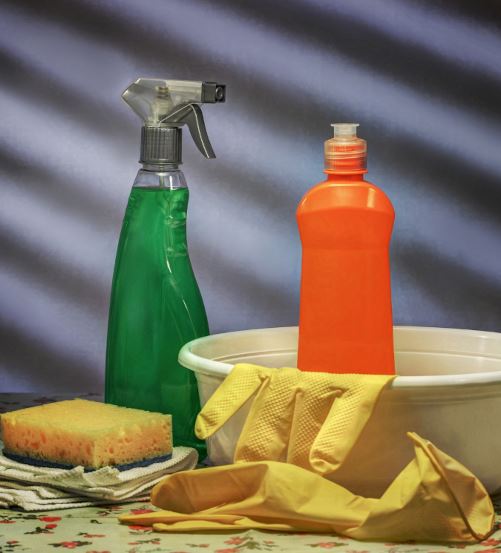 Rybiki cukrowe - jak się ich pozbyć?