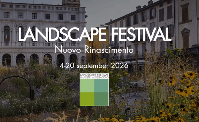 landscape_festival_grafika (1).png