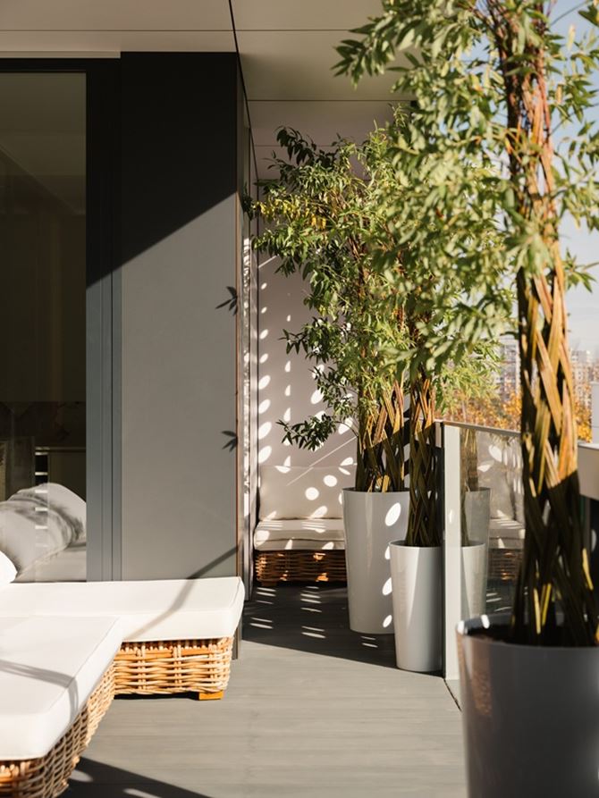 Nate Cook_Kolektorska 56_15.jpg