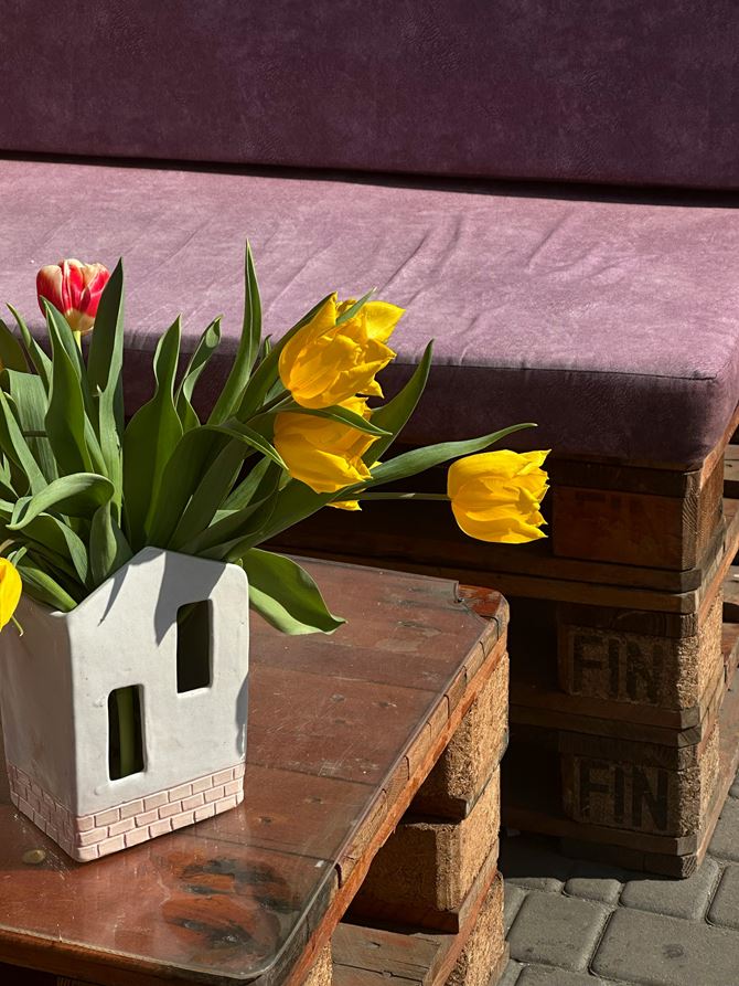 Aranżacja ogrodu z meblami z palet