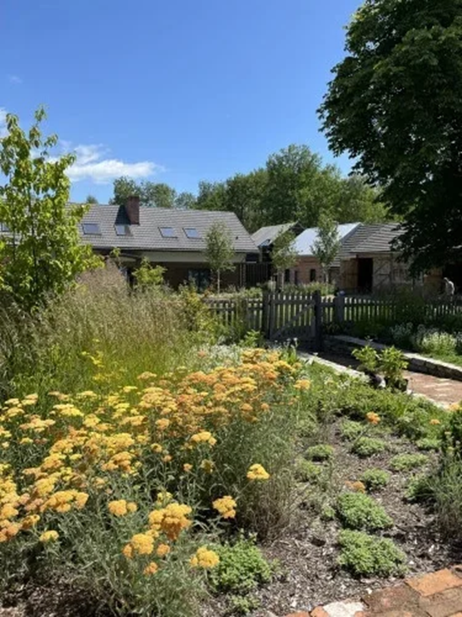 Siedlisko Dańce na Polesiu, BOGUSZ STUDIO architektura krajobrazu.png