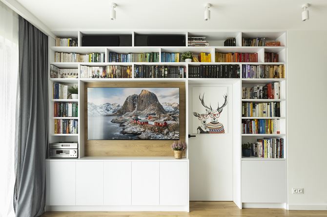 Ściana telewizyjna z kolekcją książek 
