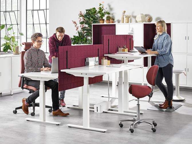 Ergonomiczne biurko i krzesło, bieżnia biurowa i piłka balansująca — na co zwrócić uwagę tworząc aktywne biuro?