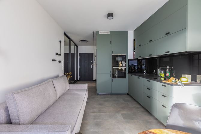 Wąski salon z aneksem w kawalerce Autorka projektu Mano Marta Krukowska foto Mufka Fotografia