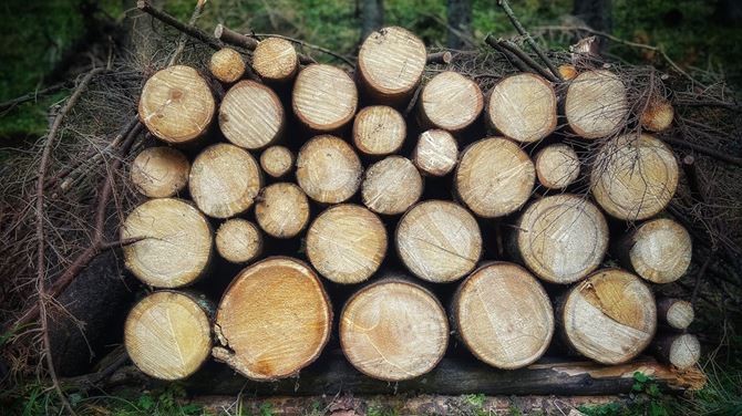 Piec co na drewno – nowoczesne źródło ciepła dla domu i biznesu z rozwiązaniami Defro