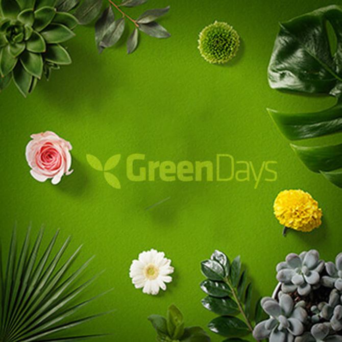 greendays-kafelek.jpg