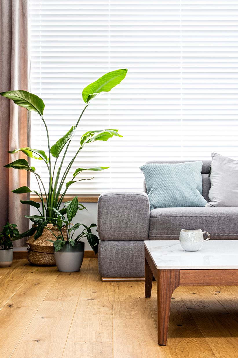 Jasnoszara kanapa w aranżacji nowoczesnego salonu z roślinami