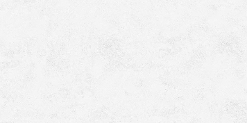 Płytka ścienna mat 59,8x119,8 cm Tubądzin Echo Brush Silver STR