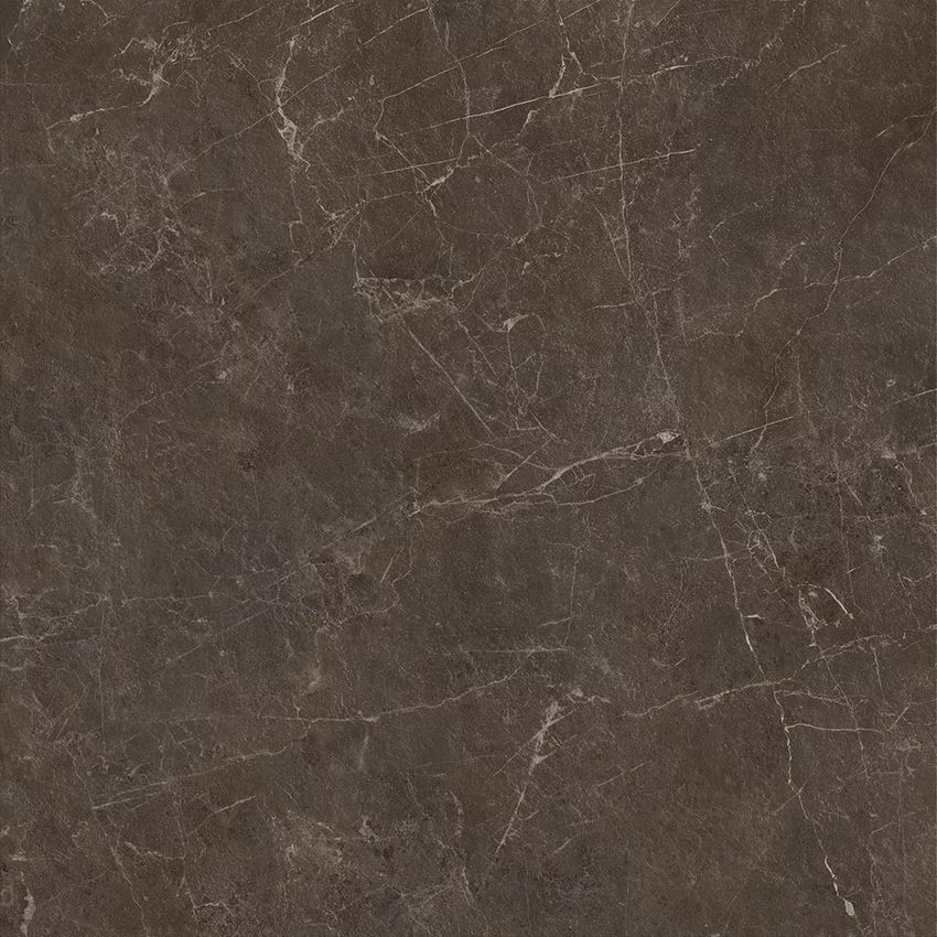 Płytka uniwersalna 119,8x119,8 cm Paradyż Eloria Brown Gres Szkl. Rekt. Struktura Mat