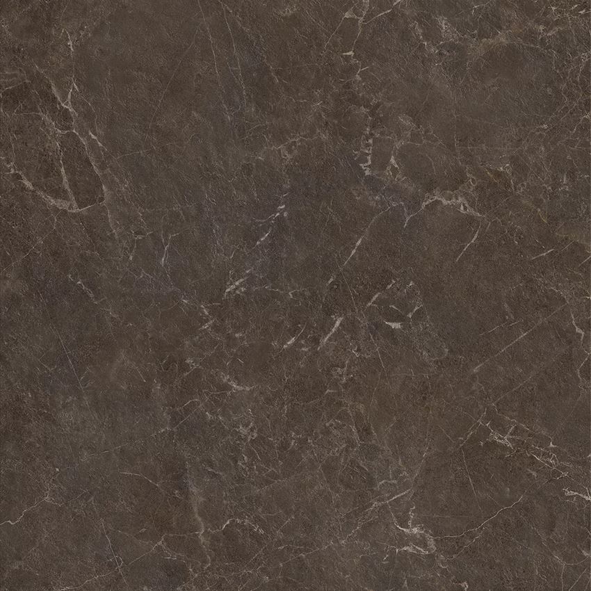 Płytka uniwersalna 119,8x119,8 cm Paradyż Eloria Brown Gres Szkl. Rekt. Struktura Mat
