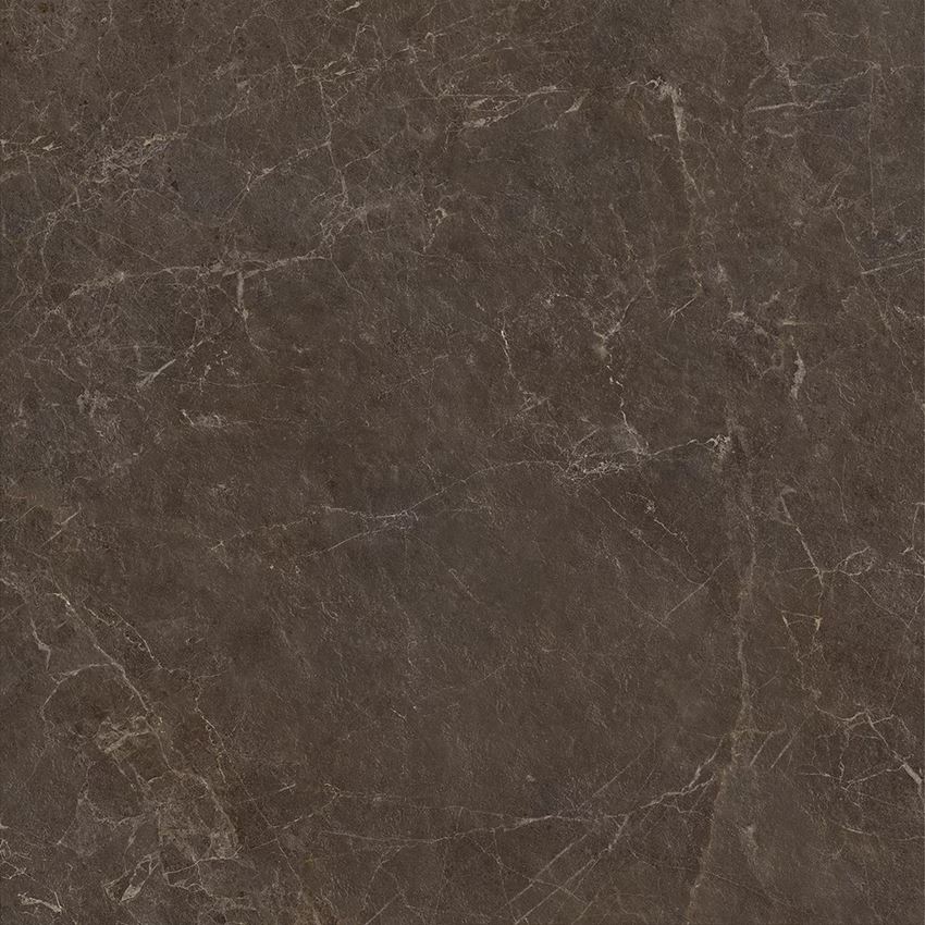 Płytka uniwersalna 119,8x119,8 cm Paradyż Eloria Brown Gres Szkl. Rekt. Struktura Mat