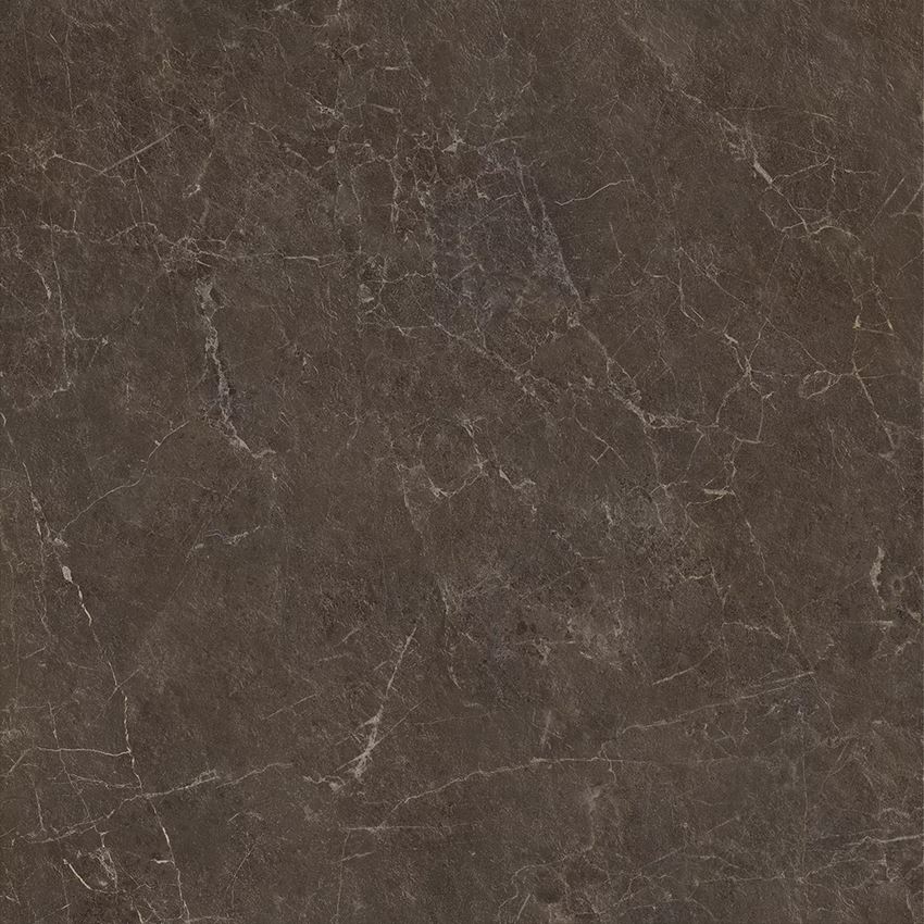 Płytka uniwersalna 119,8x119,8 cm Paradyż Eloria Brown Gres Szkl. Rekt. Struktura Mat