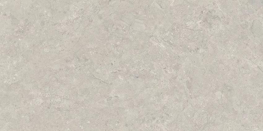 Płytka uniwersalna 59,8x119,8 cm Paradyż Sedina Grey Gres Szkl. Rekt. Mat