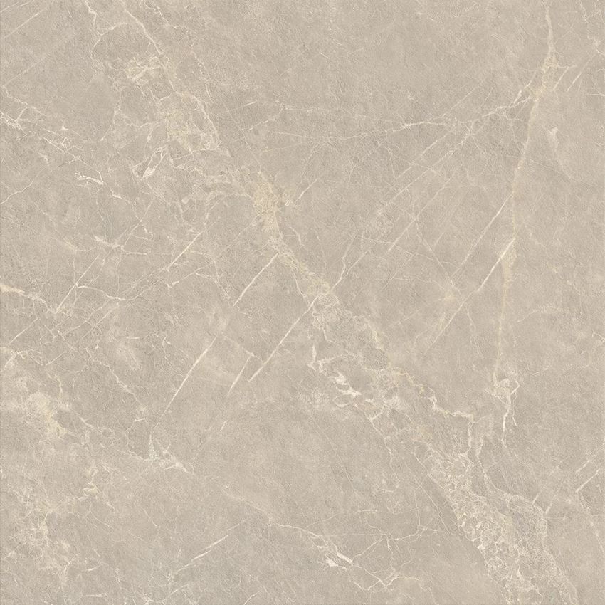 Płytka uniwersalna 119,8x119,8 cm Paradyż Eloria Taupe Gres Szkl. Rekt. Struktura Mat