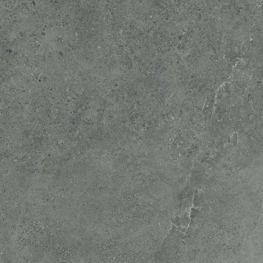 Płytka uniwersalna (gr. 8 mm) 119,8x119,8 cm Paradyż Authority Graphite Gres Szkl. Rekt. Mat