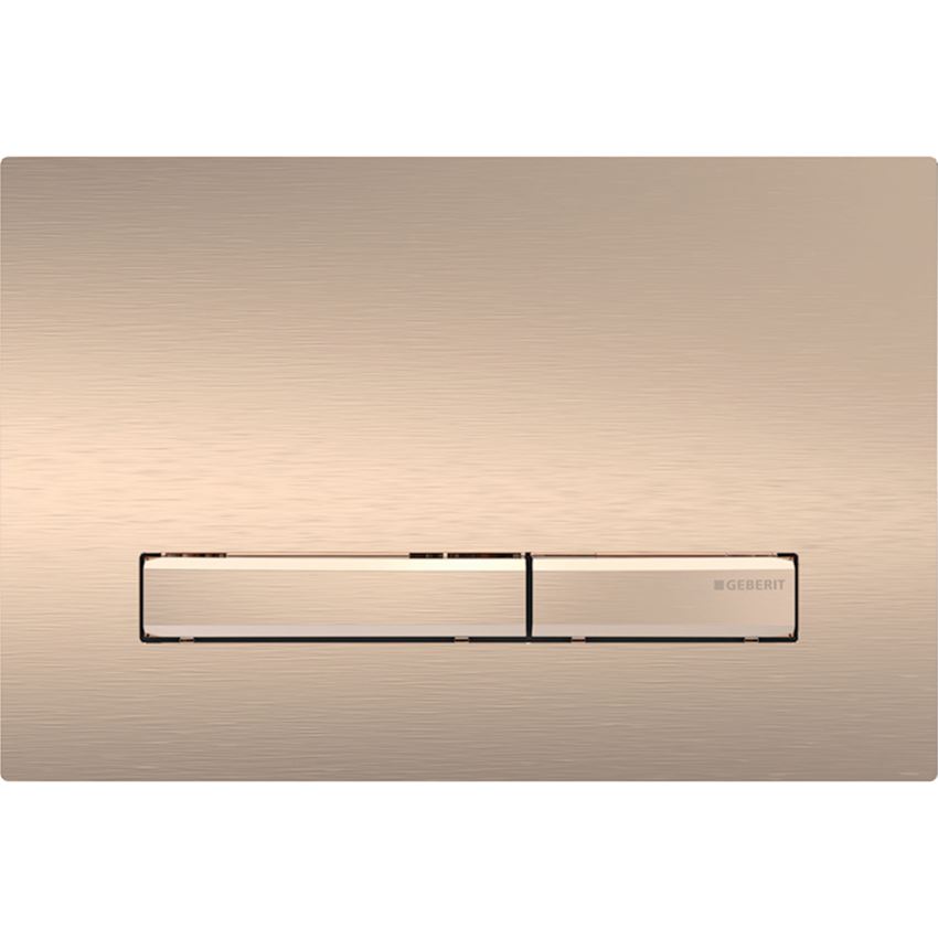 Przycisk spłukujący płyta montażowa i przyciski czerwone złoto Geberit Sigma50